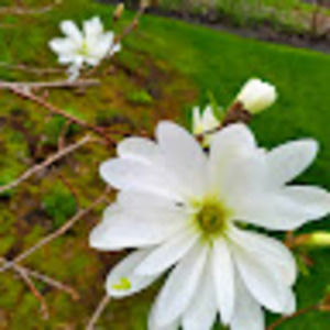 Meet your Posher, Jan